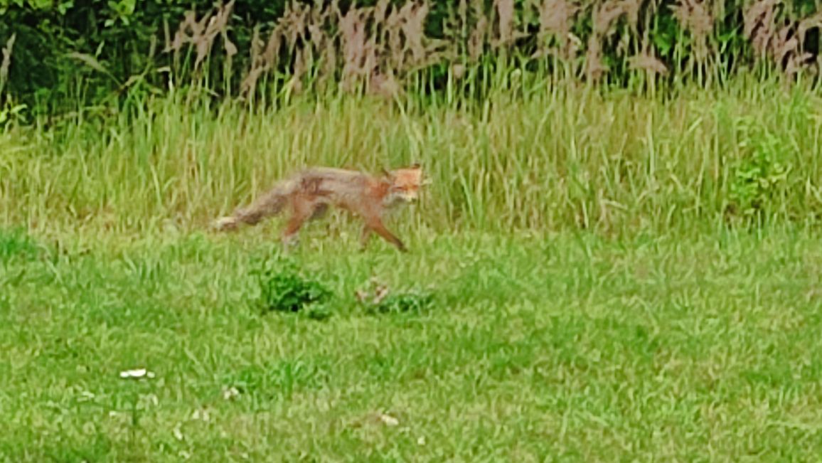 image004.jpg